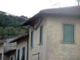 La lisca,2004 (particolare)