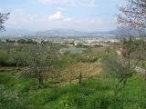 S.Ilario da via di Valle
