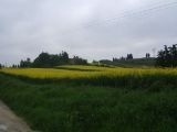 Sant'Ilario,  primavera 2004 (Lastra a Signa)