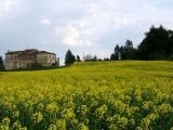 Sant Ilario di Lastra a Signa, panorama (Aprile 2007) 