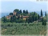 Villa Altoviti estate 2005 | Lastra a Signa