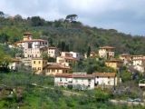 Via Livornese, I Caci 2005 Ponte a Signa