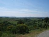Piandaccoli di Malmantile. Paesaggio zona Pino torto 2005