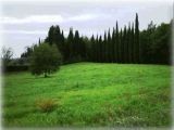 Piandaccoli autunno 2005 (Malmantile)