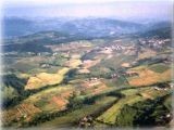 Bracciatica dall`alto estate 2004 | Malmantile