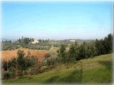 Bracciatica estate 2005 | Malmantile