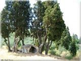 Cupoli paretaio estate 2005 | Lastra a Signa