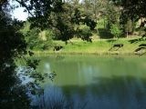 Cupoli lago Blue 2005 | Lastra a Signa