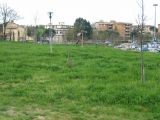 Castagnolo, giardino prospicente Coop 2007 | Lastra a Signa