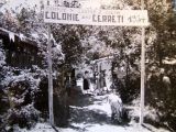 Lastra a Signa - Colonie al bosco Cerreti 1954