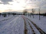 Parco fluviale 29 dic 2005 | Lastra a Signa