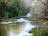 Torrente Pesa a le Topole<br>foto 2006