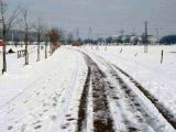 Parco fluviale 29 dic 2005 | Lastra a Signa
