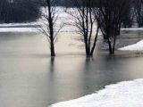 Parco fluviale 29 dic 2005 | Lastra a Signa