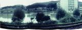 Campo sportivo di Signa, alluvione del 1966