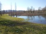 Parco fluviale 4 febbraio 2013 (foto F.Terreni)