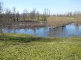 Parco fluviale 4 febbraio 2013 (foto F.Terreni)