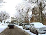 Piazza delle Cascine (2005)