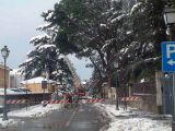Viale Matteotti (2005)