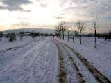 Parco fluviale - Dicembre 2005