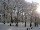 Parco fluviale - Dicembre 2005
