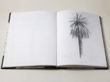 LIBRO DISEGNI PALME