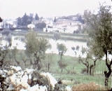 Rimaggio da San Martino a Gangalandi (novembre 1966)