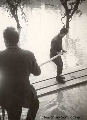 Salvataggio (novembre 1966)