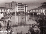 Via Livornese, zona Il Bivio Vie Gramsci-Livornese-Cipriani (novembre 1966)