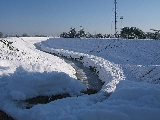 Torrente Vingone presso lo stadio, (gennaio 2005)