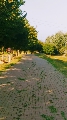 Lastra a Signa,Parco fluviale, 18 agosto 2018
