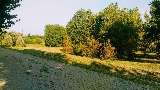 Lastra a Signa,Parco fluviale, 18 agosto 2018