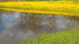 Lastra a Signa,Parco fluviale, 18 agosto 2018