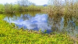 Lastra a Signa,Parco fluviale, 18 agosto 2018