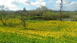 Lastra a Signa,Parco fluviale, 18 agosto 2018