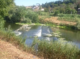 Porto di Mezzo di  Lastra a Signa, rapide sull'Arno 2000 circa