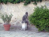 Primavera 2005 - Villa Bellosguardo