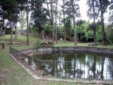 Primavera 2005 - Villa Bellosguardo