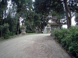 Primavera 2005 - Villa Bellosguardo