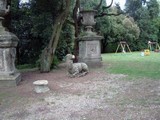 Primavera 2005 - Villa Bellosguardo
