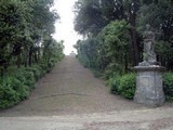Primavera 2005 - Villa Bellosguardo