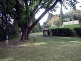 Primavera 2005 - Villa Bellosguardo