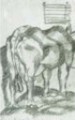 Mucca nella stalla, 1918,<br> matita copiativa bleu su carta,  mm. 180x110