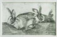 Conigli,1918,<br> matita su carta,<br> mm. 116x170