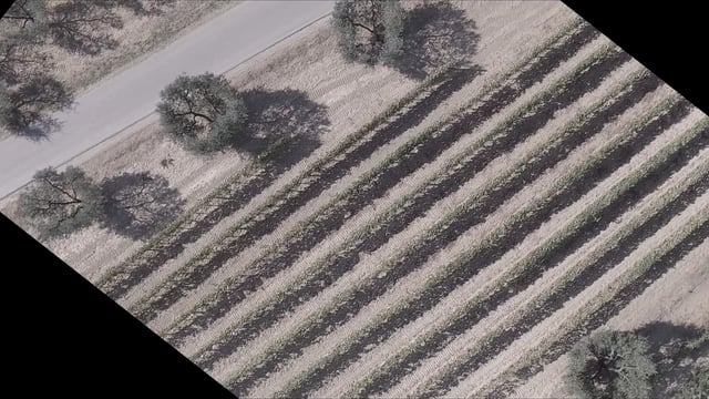 DRONE : mura di Malmantile e panorama