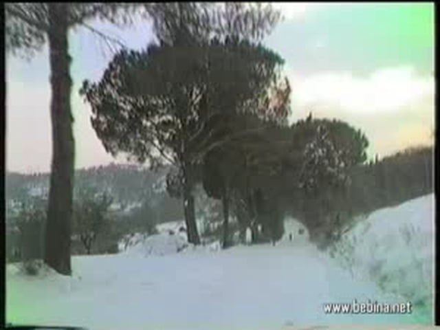 Lastra, Signa, Porto di Mezzo, nevicata 11 gennaio 1985